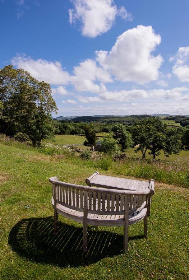 Coed Mawr Hall Bed & Breakfast Rowen Exterior photo