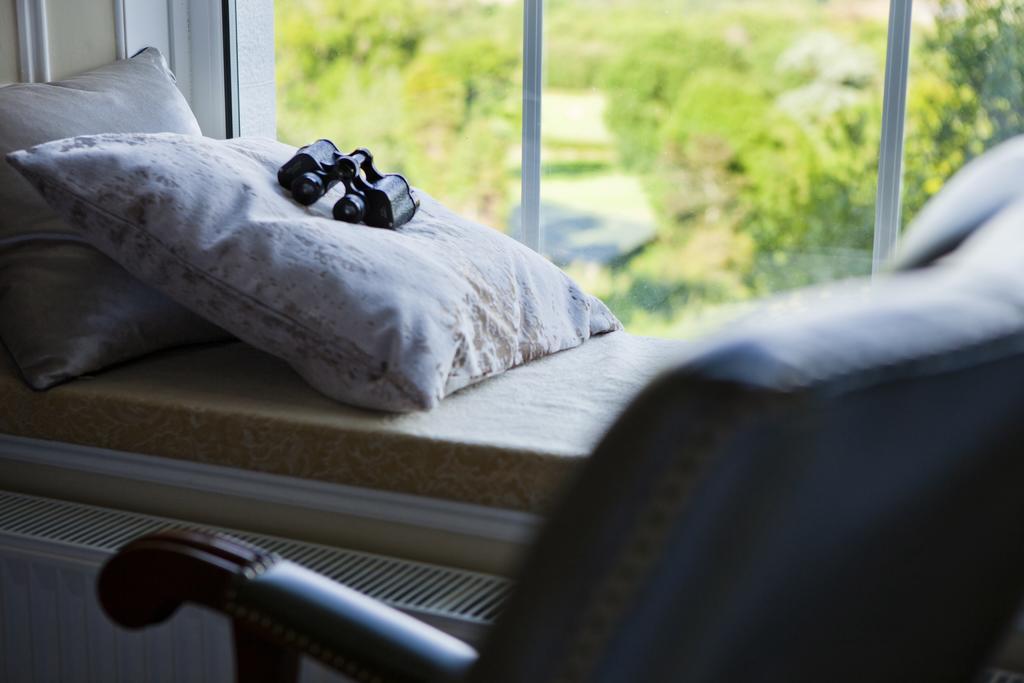 Coed Mawr Hall Bed & Breakfast Rowen Room photo